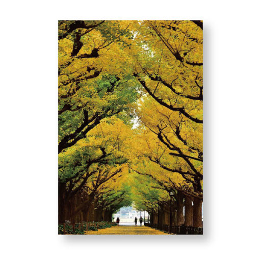 PN-001　＊14.8ｘ10.0＊
