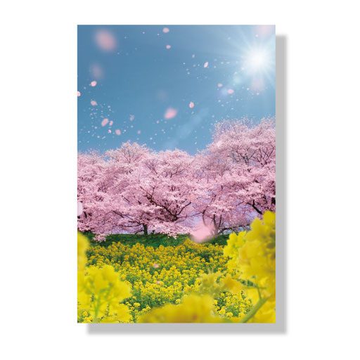 HH-002　＊14.8ｘ10.0＊