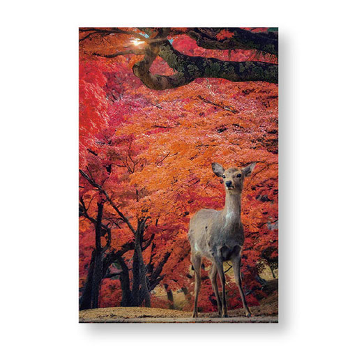 PN-008　＊14.8ｘ10.0＊