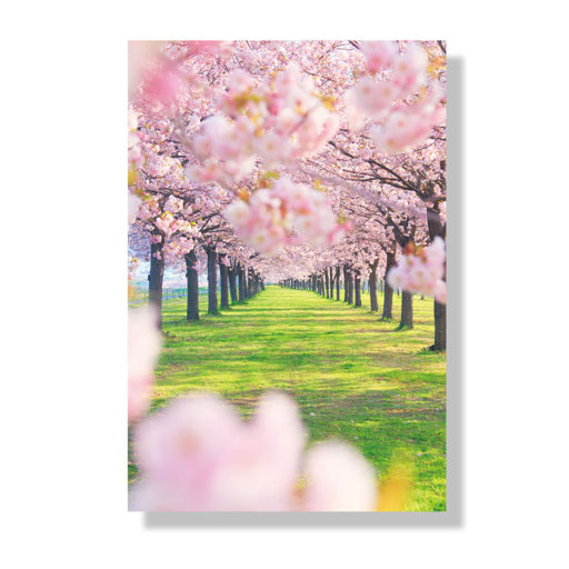 HH-001　＊14.8ｘ10.0＊