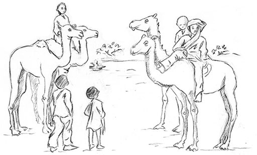 Carnet de voyage Niger campement