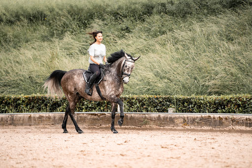 Trainingsbegleitung Pferdefotografie