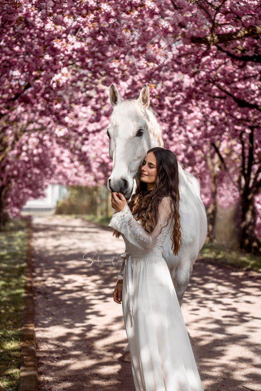 Pferdeshooting pinke Kirschblüten