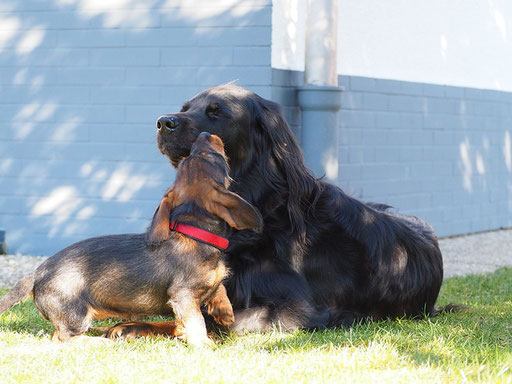 Anneliese & Hazel