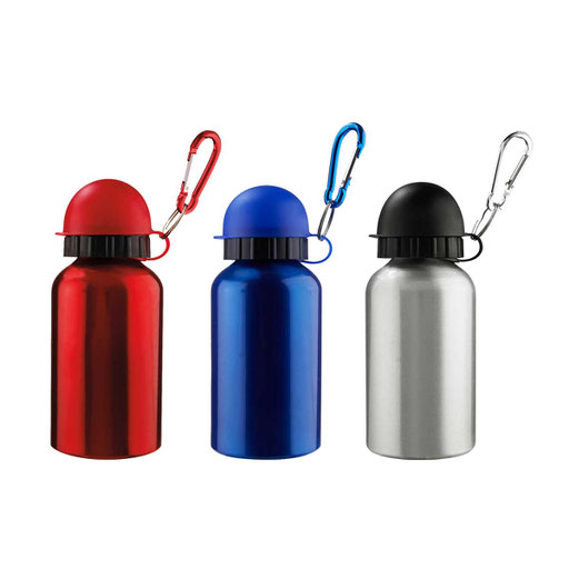 CÓDIGO TMPS 400 INCLUYE GANCHO Y VÁLVULA DE SEGURIDAD. MATERIAL ALUMINIO. MEDIDA 6.6 x 15.5 cm CAPACIDAD 300 ML