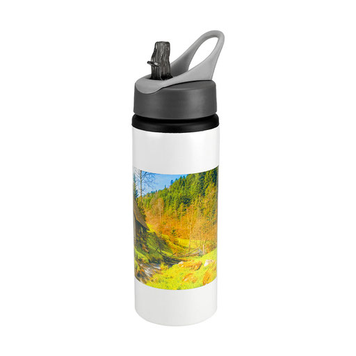 CÓDIGO TMPS 113 Cilindro para sublimar. Incluye válvula de seguridad, agarradera y popote. MATERIAL ALUMINIO. MEDIDA 7.3 x 24 CM CAPACIDAD 700 ML