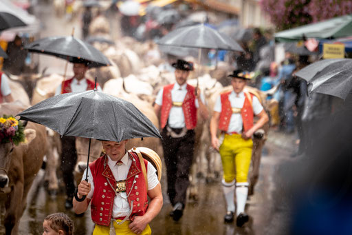 Aufzug Viehschau Schwellbrunn