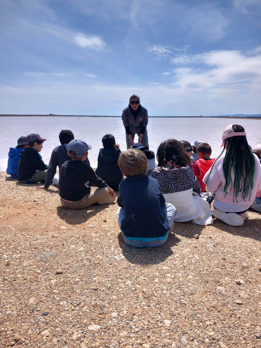 Salins de Gruissan