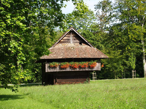 Hochzeitstauben - Hochzeitsbilder