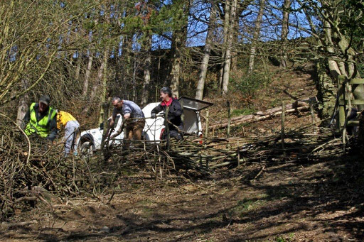 Building a dead hedge above pond