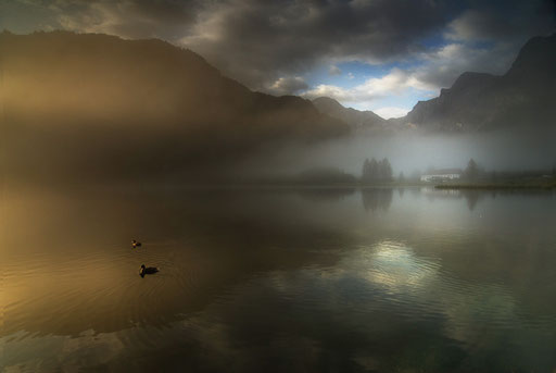 Morgens am Almsee (Österreich)