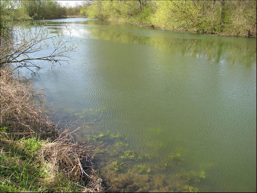 Frühling an der Lippe