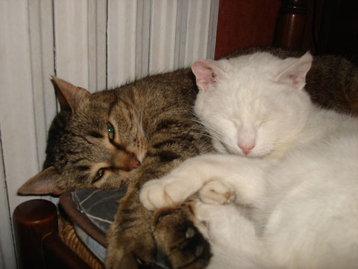 Sati & Mistou