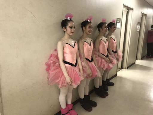 今頃投稿1 フラミンゴダンス Okuballetschool Jimdoページ 今頃投稿1 フラミンゴダンス Okuballetschool Jimdoページ