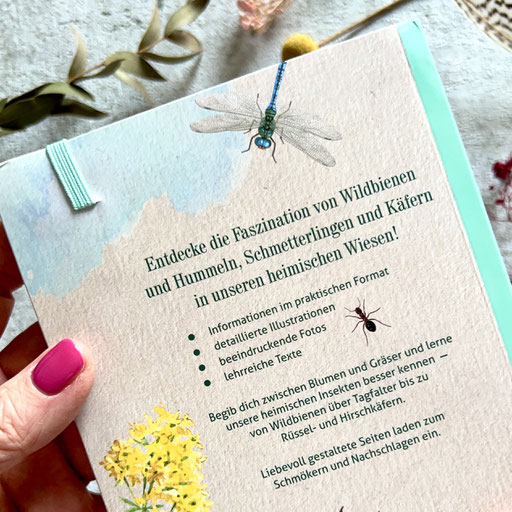 Buchcover-Gestaltung, Lingen-Verlag, Köln