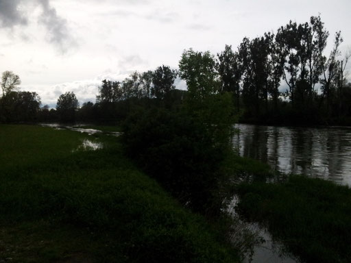 Isarmündung 2