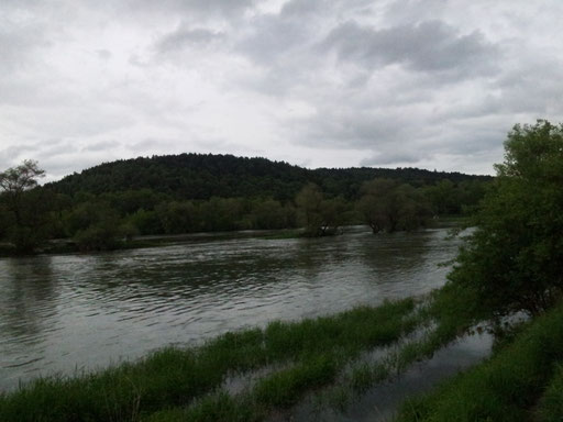 Isarmündung
