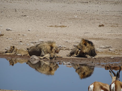 Namibia