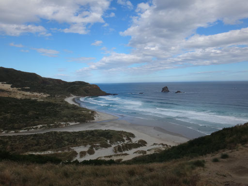 Die Sandfly Bay von oben... die gewaltigen Dünen sehen ganz klein von hier oben aus... ein wunderschöner Strand!