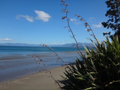 Strand in Pakawau