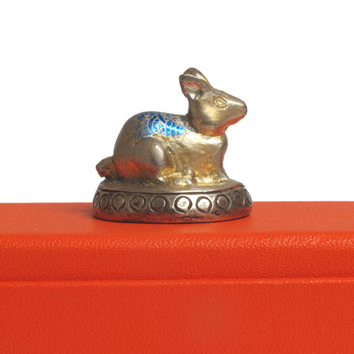 Le lapin d'Andrea