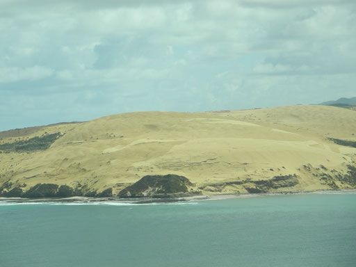 Hokianga