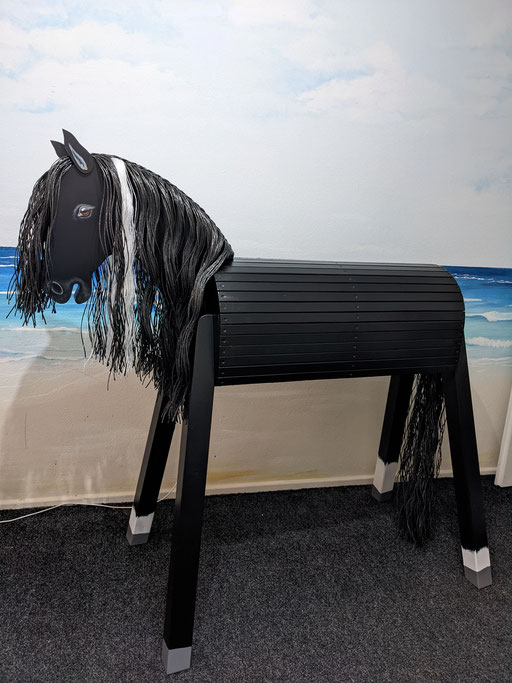 Ostwind - schwarzes Pferd mit weißer Strähne in schwarzer Mähne