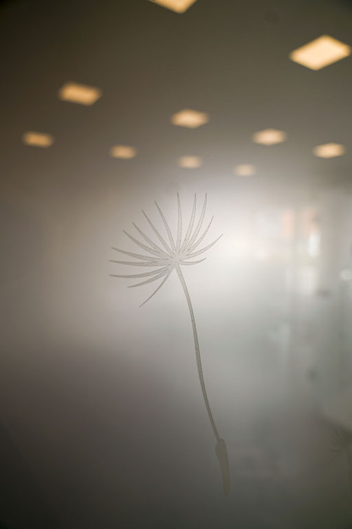 Sandstrahlung - Lasermotiv - Drehtüre - Glastüre - © Glaserei Allgäuer