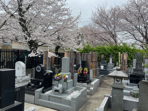 墓所