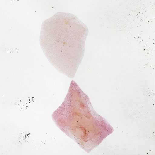 Malerei auf Monotypiedruck, 34,5 x 34,5 cm, Pigment, Schellack, 2018