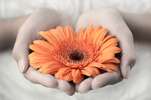 Hands of Hope