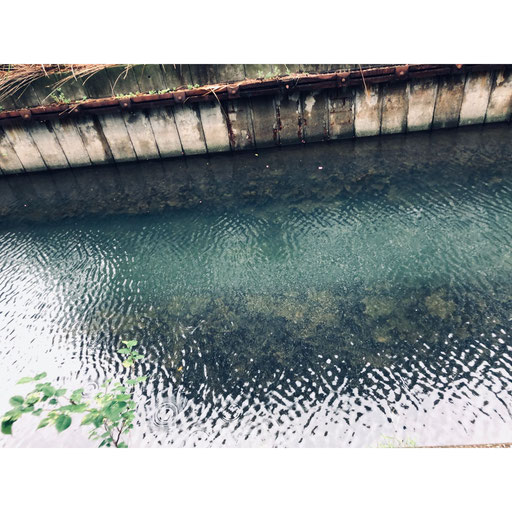 大島写真10 金太郎 夕暮れの水面