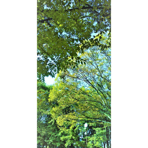 みずほ台写真05 雫 秋の公園と時計