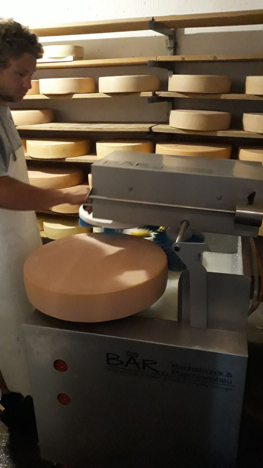 Machine à soigner le fromage Brosses à fromage
