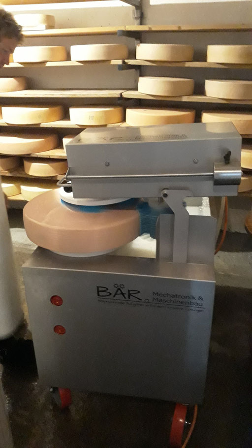 Machine de soins du fromage Brossage du fromage