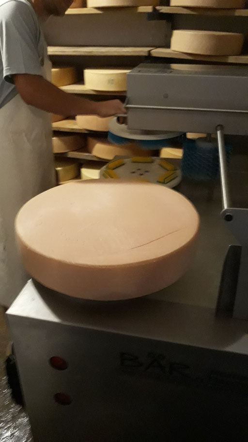 Cheese Care Machine Remove Cheese