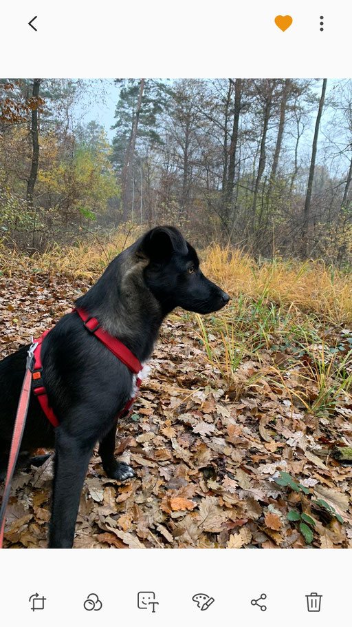 Jacky von Sonja