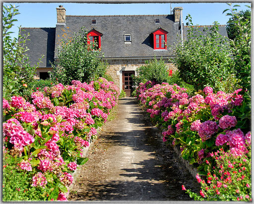 Ile de Bréhat - Bretagne © Nicolas GIRAUD