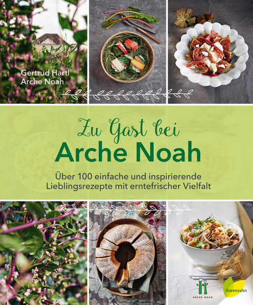 Umschlag-Gestaltung, Typografie, Satz und Illustrationen • Löwenzahn Verlag