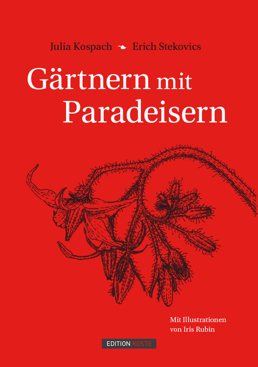 Umschlag-Gestaltung, Typografie und Satz