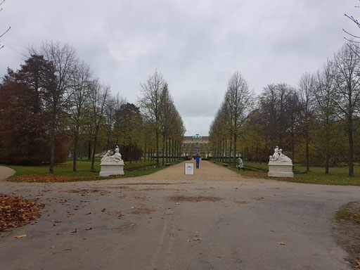 Blick auf Sanssouci