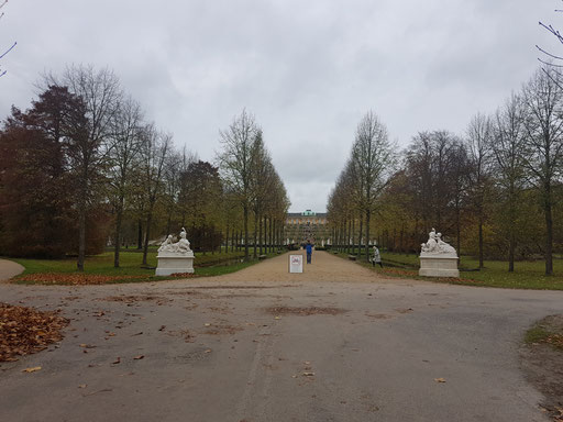 Blick auf Sanssouci