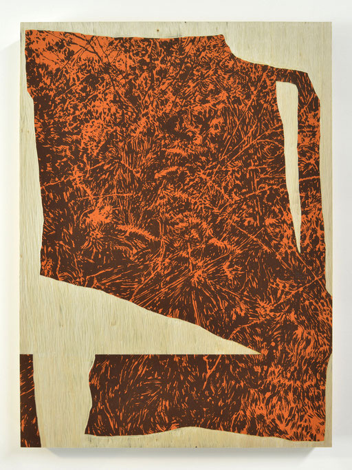BALISE _ Sérigraphie et gravure sur bois (peuplier) _ 36x42cm