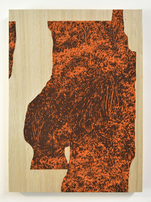BALISE _ Sérigraphie et gravure sur bois (peuplier) _ 36x42cm