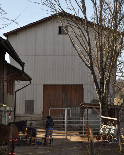 La stabulation, vue depuis l'entrée de l'écurie
