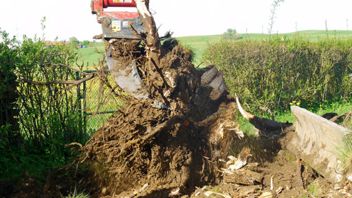 Unsere Leistungen - Stölzle Baggerbetrieb Aitrang