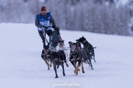 La Grande Odyssée : Peisey-Vallandry 2020