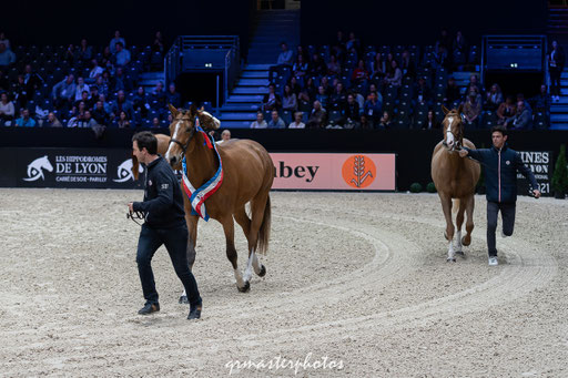 Equita Lyon