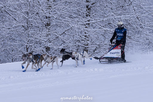 La Grande Odyssée : Peisey-Vallandry 2020