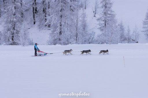 La Grande Odyssée : Peisey-Vallandry 2020